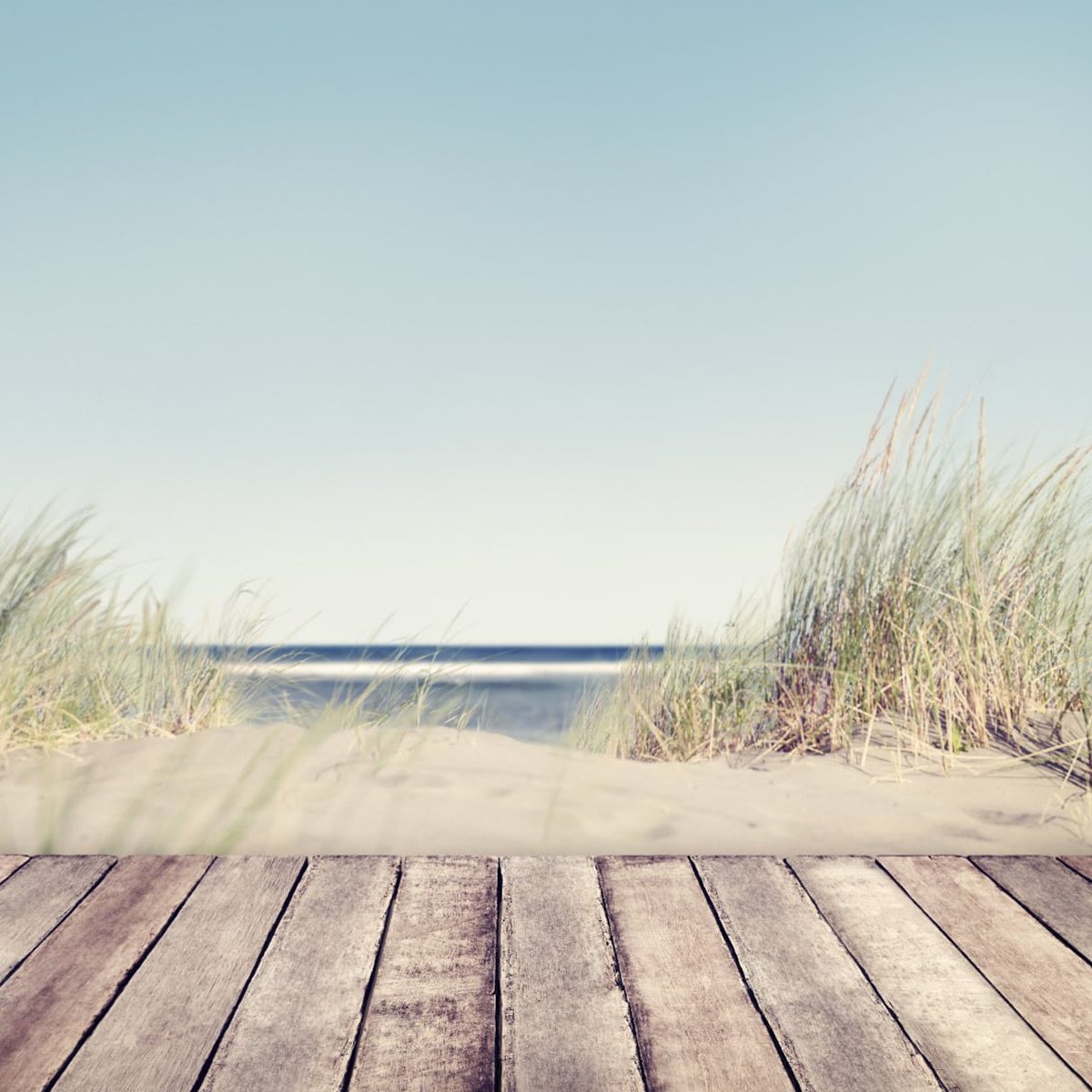 AdobeStock_72990924